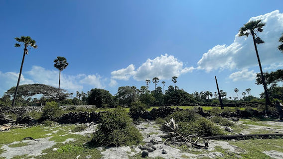 Giants Footprint