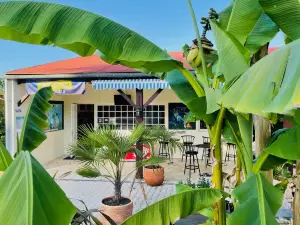camping Quercy Vacances