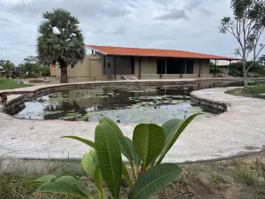 IIT- International Institute of Theravāda