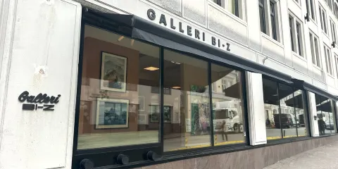 Galleri Bi-Z