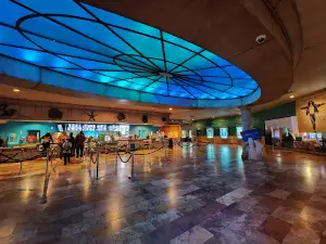 Caribbean Cinemas