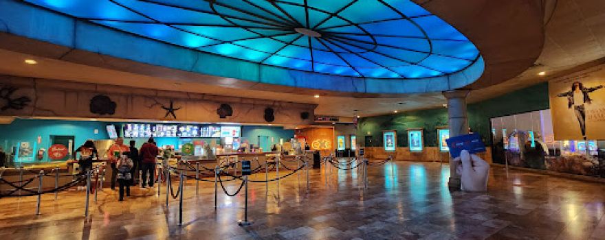 Caribbean Cinemas