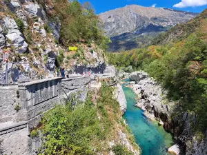 Camping Lazar