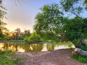 Shady Grove Park