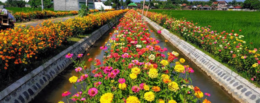 Agrowisata ONOKABE