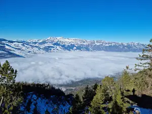 Aussichtsturm Gaflei