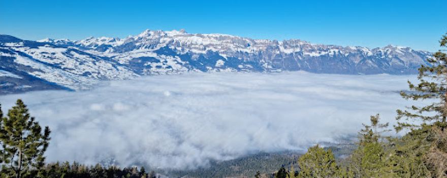Aussichtsturm Gaflei