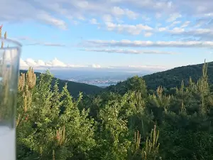 Kocaeli Kent Ormanı