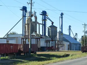 Demott Peanut & Fertilizer Co