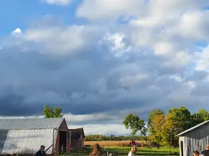 Boomer's Funny Farm