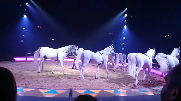 Hotels in der Nähe von Circus Krone