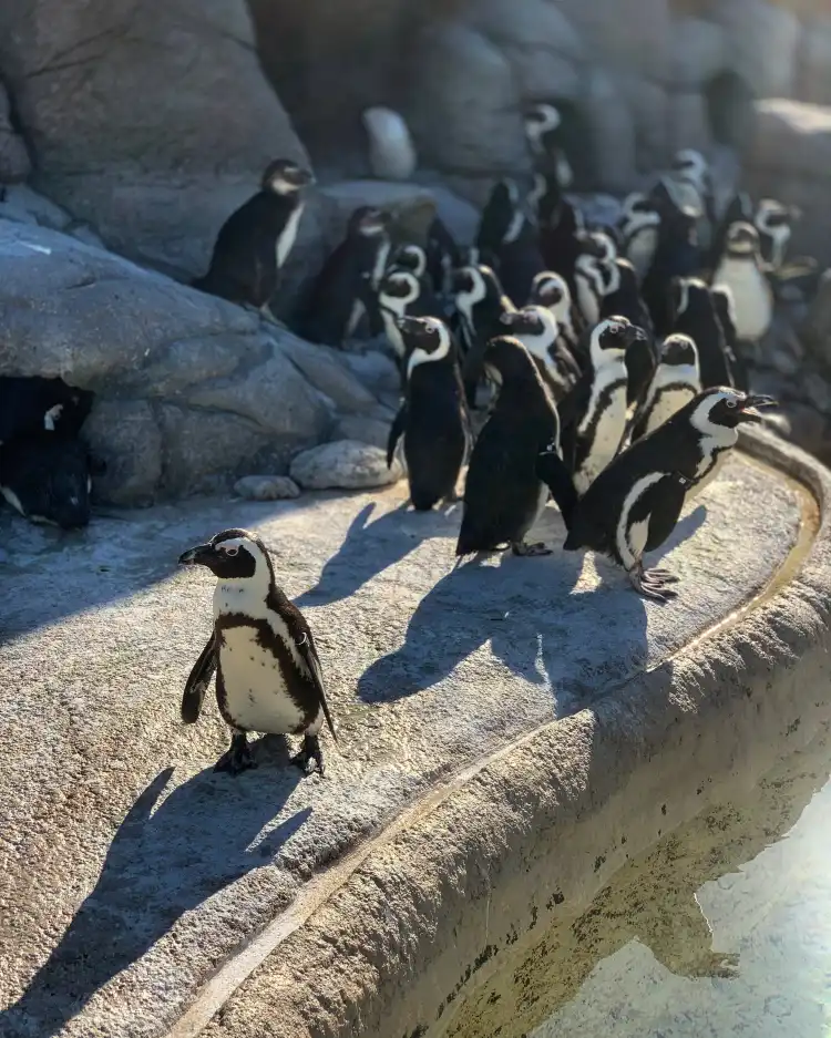 Hotels near Adventure Aquarium