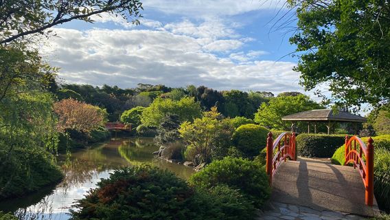 UniSQ Japanese Garden QLD