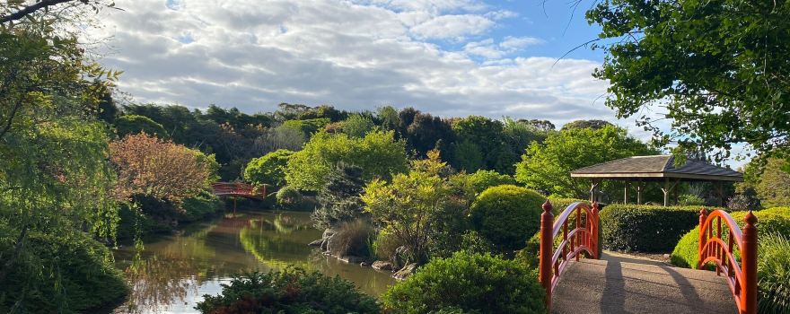 Darling Heights