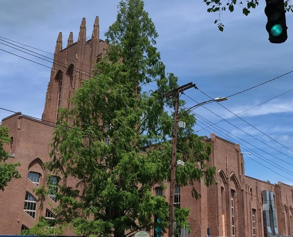 4_耶魯大學皮博迪自然史博物館