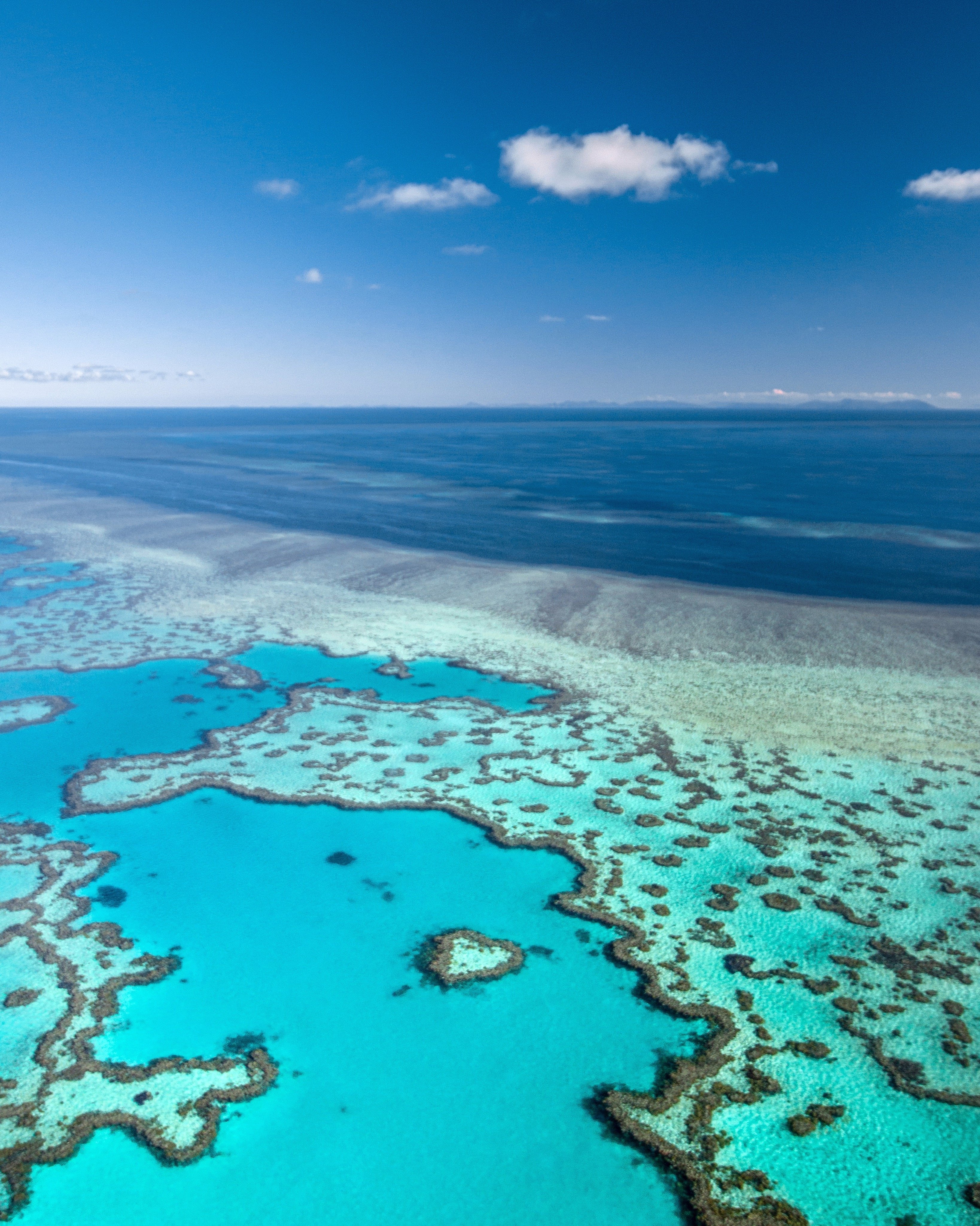 2025 Airlie Beach Travel Guide: Must-see attractions, popular food, hotels, transportation routes (updated in June)