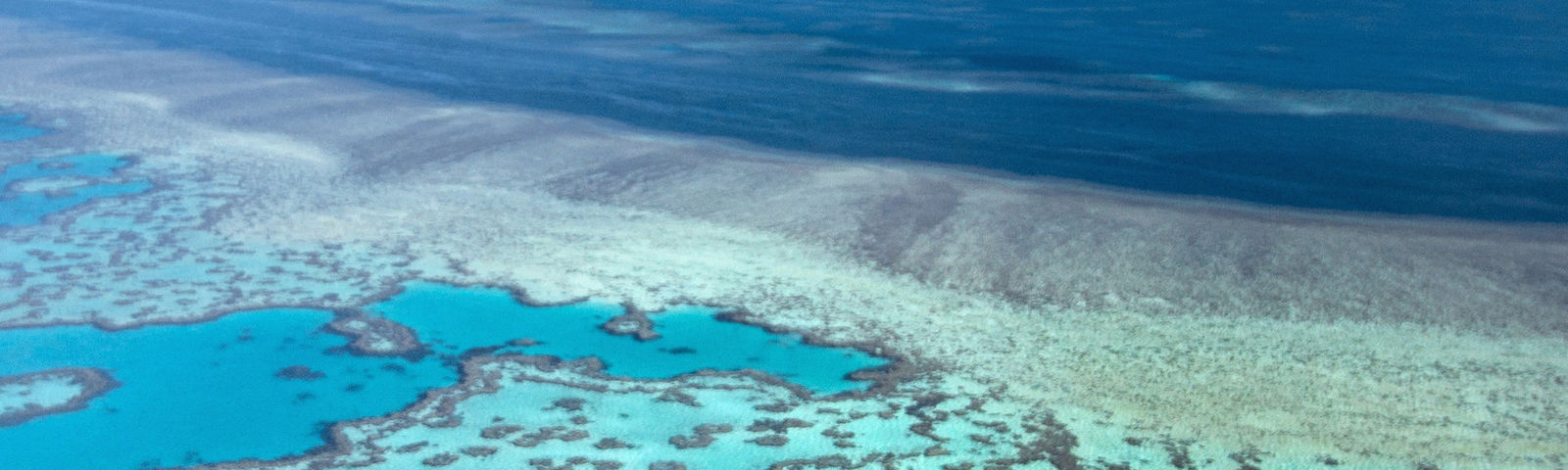 Airlie BeachEinzigartige Erlebnisse