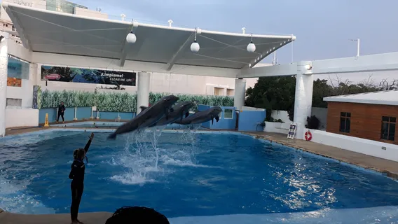 Interactive Aquarium Cancún