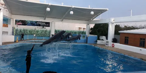 互動式水族館