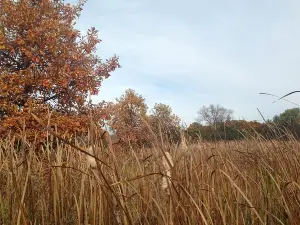 Blackwell Forest Preserve