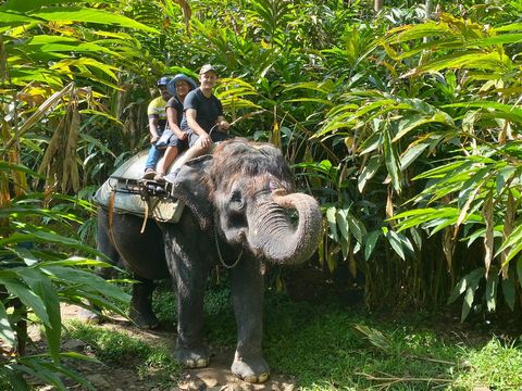Elephant Junction Thekkady