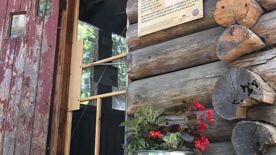 Dorothy Molter Museum