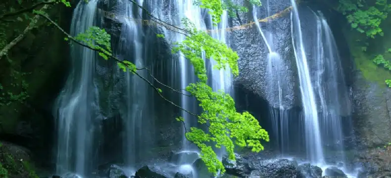 Hoteles en Kōriyama