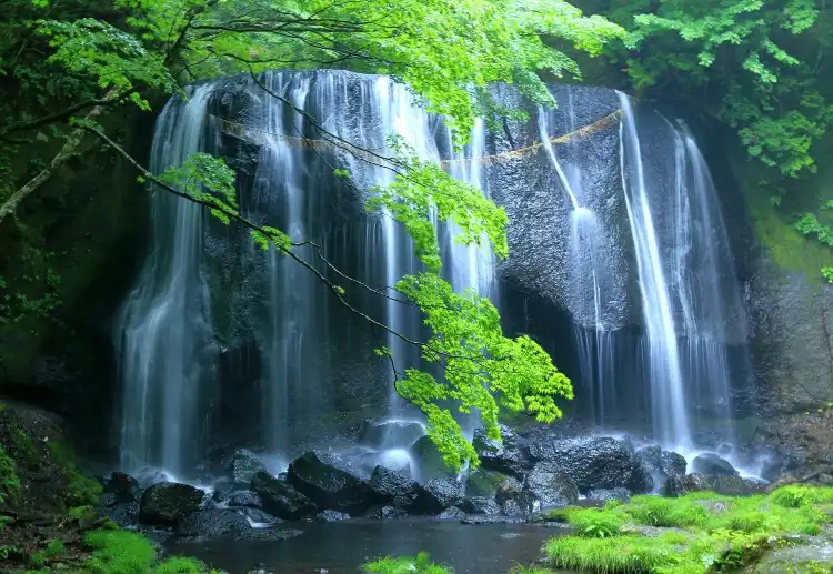 Hotels in Koriyama