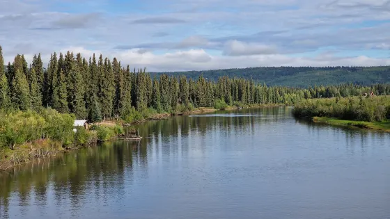 Chena River State Recreation Area