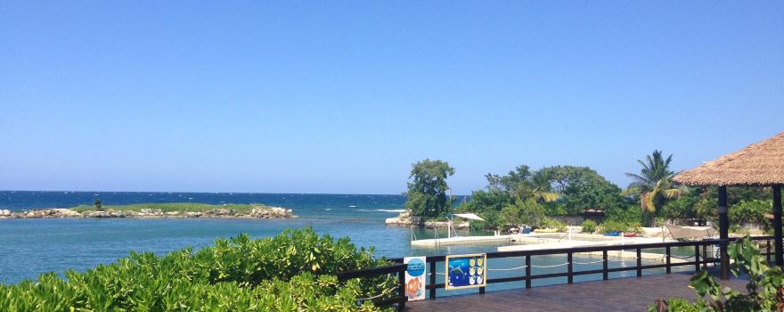 Dolphin Cove Montego Bay
