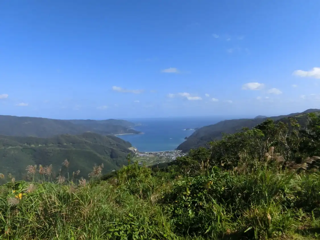 油井岳觀景台附近的飯店