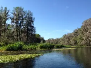 Ichtucknee Family Canoes and Cabins