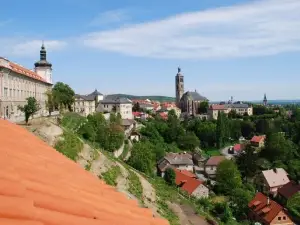 GASK - Central Bohemian Gallery, contributory organization