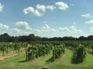 Wiederkehr Wine Cellar & Weinkeller Restaurant
