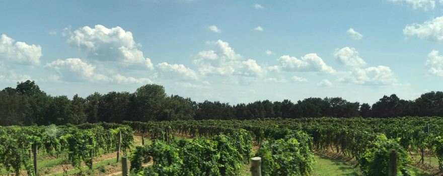 Wiederkehr Wine Cellars