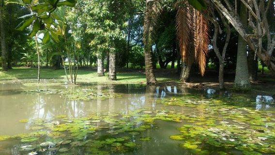 Museo de la Caña de Azucar