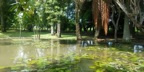 塔卡納德阿祖卡博物館