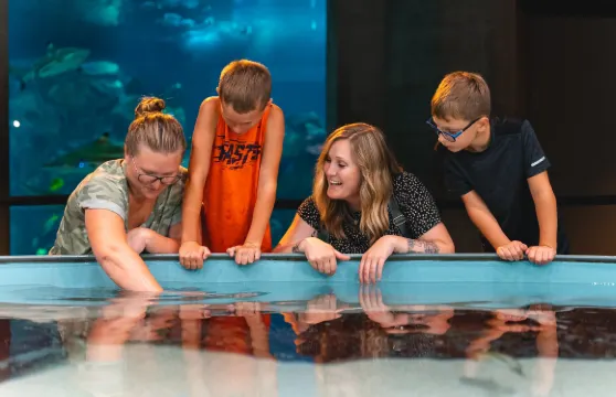 托萊多動物園＋Toledo Zoo Aquarium門票成人