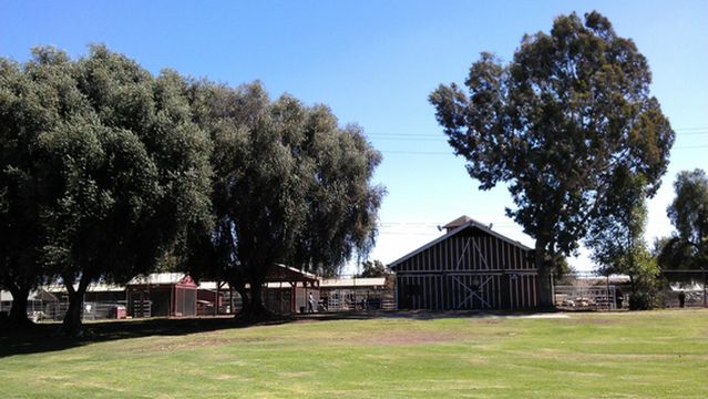 Montebello Barnyard Zoo