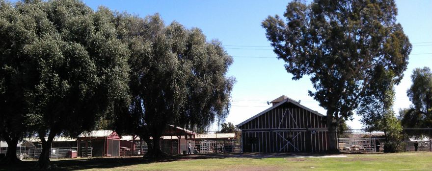Montebello Barnyard Zoo