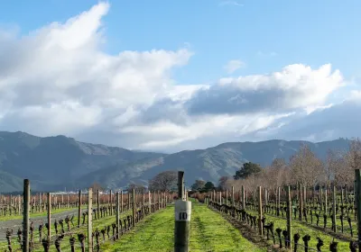 Allan Scott Family Winemakers