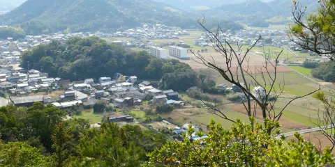 Hiketa Castle