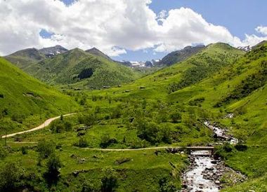 Rize
