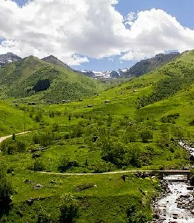 Rize