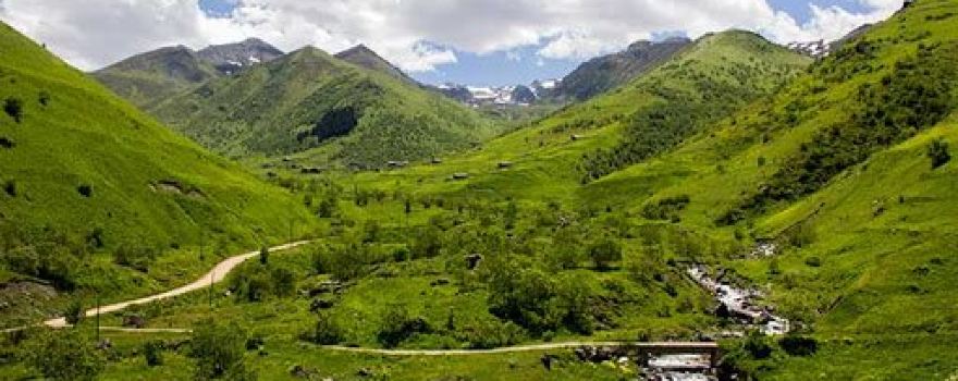Rize Merkez