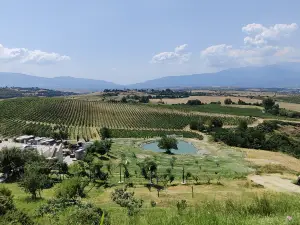 Villa Melnik