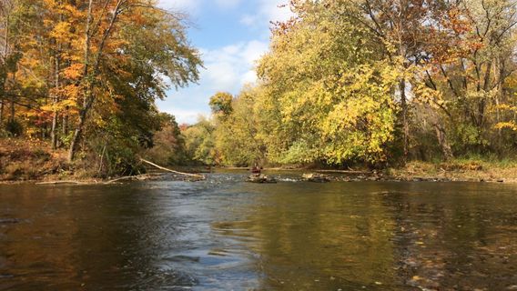 Carried Away Outfitters