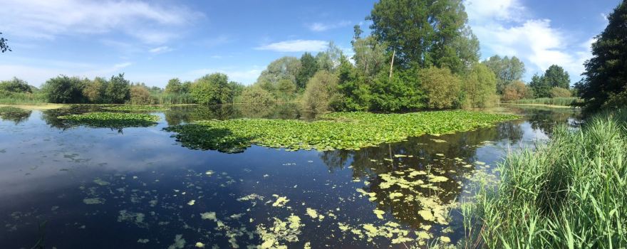 Blankaart Nature Reserve
