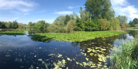 Blankaart Nature Reserve
