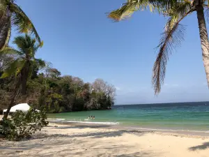 Executive Beach